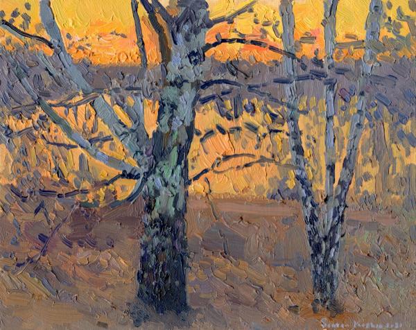 Simon Kozhin. April. Birch sunset.