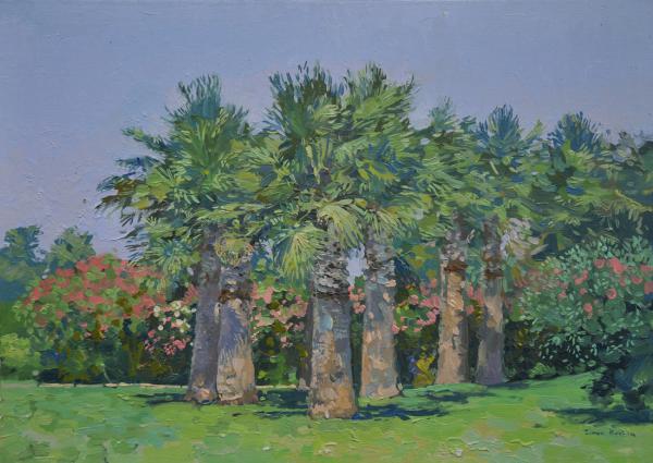 Simon Kozhin. Palms on the coast.