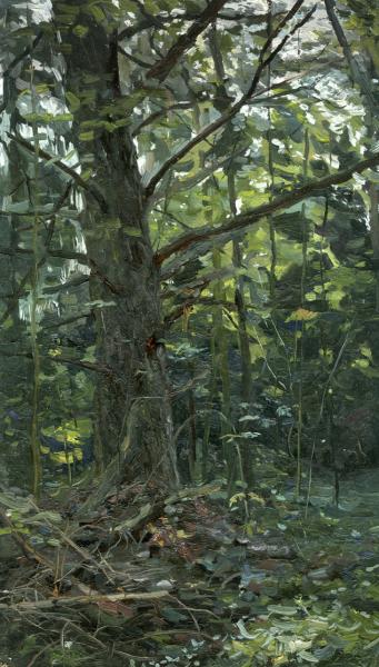 Simon Kozhin. Forest. Fir-tree. Karmanovo.
