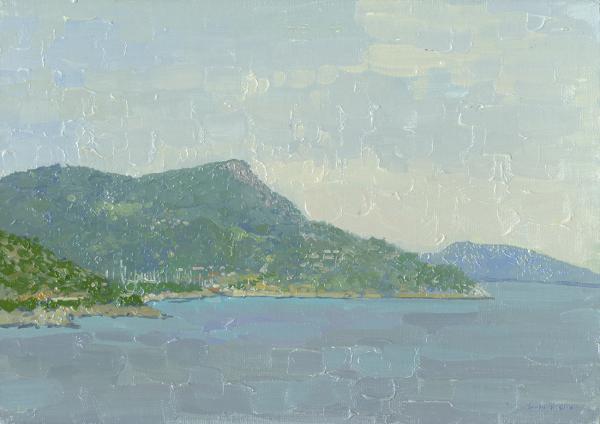 Simon Kozhin. The cliff in the Barbados bay.