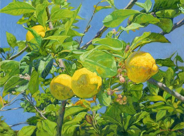 Simon Kozhin. Lemons. 