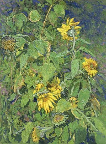 Simon Kozhin. Sunflowers