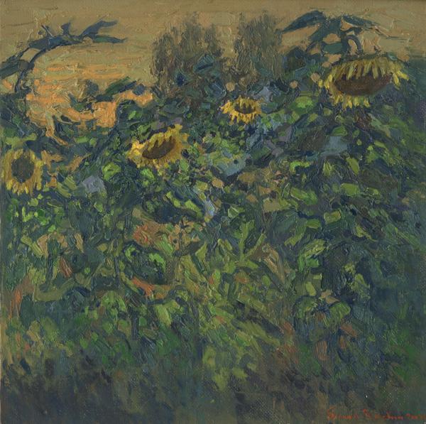 Simon Kozhin. Sunflowers. Golden sunset.