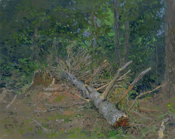 Simon Kozhin. Fallen tree. Arkhyz.