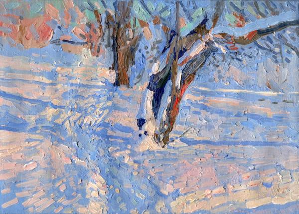 Simon Kozhin. Blue shadows in the snow. Tsaritsyno.