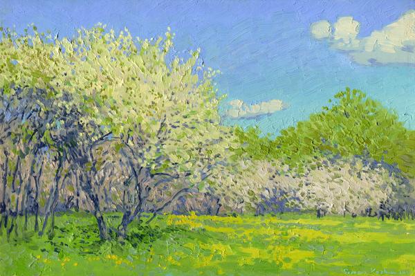 Simon Kozhin. Cherry blossoms