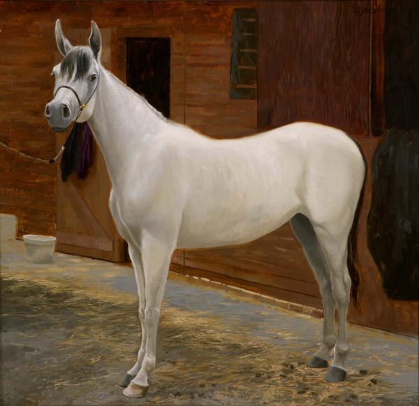 Семён Кожин. Белая лошадь.