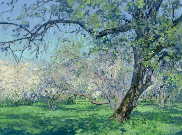 Simon Kozhin. Apple trees in bloom. Kolomenskoye. 2014 Oil on canvas on cardboard, oil. 30 x 40 cm.