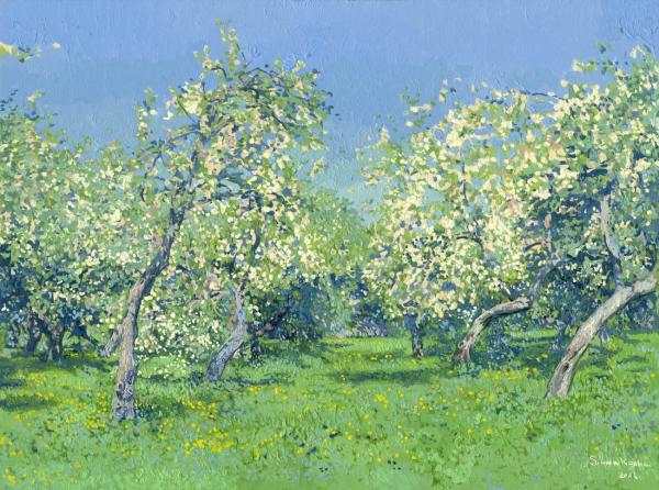 Simon Kozhin. Apple Trees in Blossom. Kolomenskoye. 2014 Oil on canvas on cardboard, oil. 30 x 40 cm.