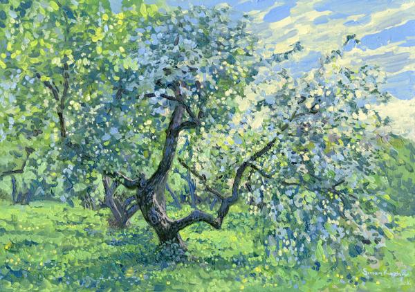 Simon Kozhin. Apple tree in bloom. Kolomenskoye. 2014 Oil on canvas on cardboard, oil. 25 x 35 cm.
