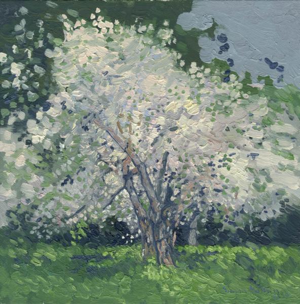 Simon Kozhin. Apple tree in bloom. Kuzminki