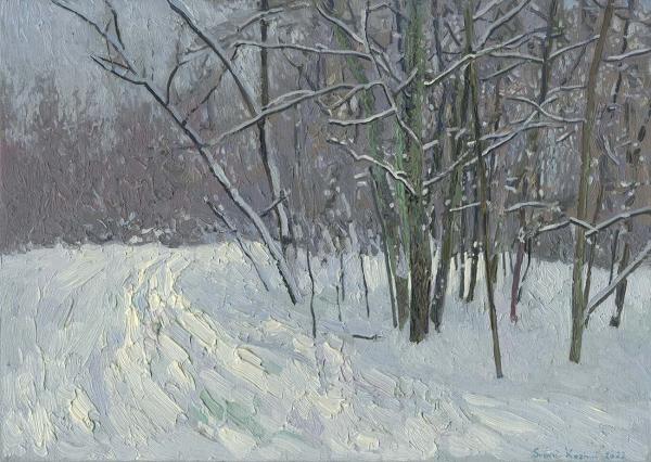 Simon Kozhin. Winter in Tsaritsyno park