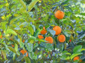 Simon Kozhin. Oranges. Corfu. Greece. 2013. Oil on canvas on cardboard, oil. 30 x 40 cm.