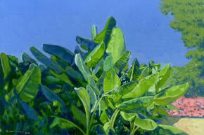 Simon Kozhin. Banana garden. Rhodes. Greece. 2014 Oil on canvas on cardboard, oil. 20 x 30 cm.