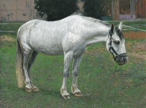 Simon Kozhin. White horse