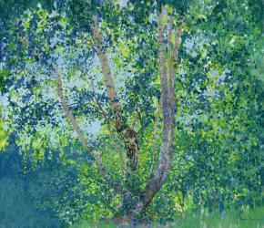 Simon Kozhin. Birch trees.