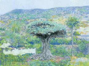 Simon Kozhin. Dragon tree (Dracaena Drakensberg). Tenerife. Canary Islands. Spain. 2013. Canvas on cardboard, oil. 30 x 40 cm.