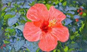 Simon Kozhin. The Chinese hibiscus. Marmaris. Turkey. 2014. Canvas on painting, oil. 10 x 15 cm.