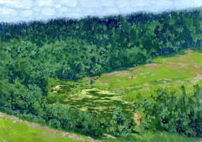Simon Kozhin. View of the field and overgrown pond in Krasnogorsk.