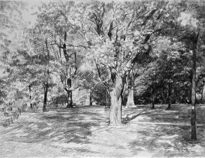 Simon Kozhin. Maple trees.