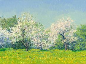 Simon Kozhin. May. Apple trees in bloom. Kolomenskoye Estate. 2013. Oil on canvas on cardboard, oil. 30 x 40 cm.