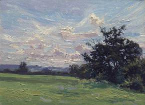 Simon Kozhin. Haddenham. Buckinghamshire. Oak in the field.