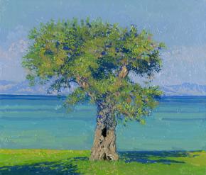 Simon Kozhin. Olive tree on the coast of Dassia. Corfu. Corfu. Greece. 2013. Oil on canvas on cardboard. 30 x 35 cm.