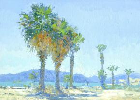 Simon Kozhin. Palm trees on the Marmaris beach