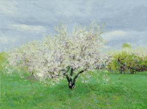 Simon Kozhin. Gloomy day. Cherry blossoms. Kolomenskoye. 2014 Oil on canvas on cardboard, oil. 30 x 40 cm.