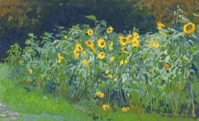 Simon Kozhin. Sunflowers