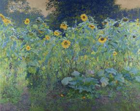Simon Kozhin. Sunflowers in Kolomenskoye