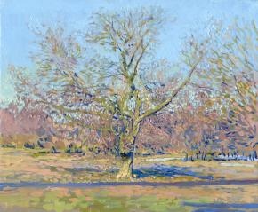 Simon Kozhin. In early spring. Willow tree in Kolomenskoye. Of 2013. Oil on canvas on cardboard, oil. 25 x 30 cm