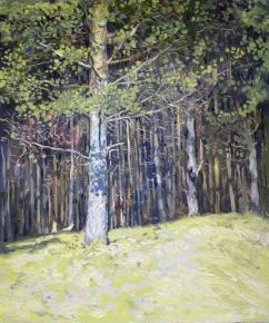 Simon Kozhin. Pine-trees forest.