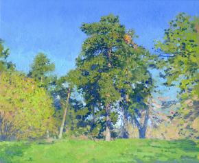 Simon Kozhin. Pines in Berizichi estate. 2012. Canvas on cardboard, oil. 25 x30 cm.