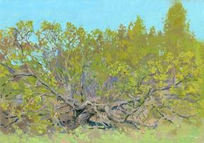 Simon Kozhin. Old Willow. 2012. Canvas on cardboard, oil. 25 x 35 cm. 