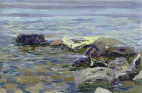 Simon Kozhin. Stones by the sea.