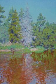 Simon Kozhin. The dry spruce. Luh River.