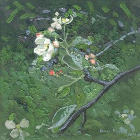 Simon Kozhin. Apple tree flower