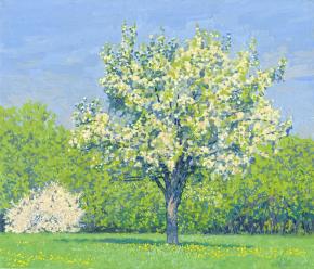 Simon Kozhin. Apple blossom. Kolomenskoye Estate. 2013. Oil on cardboard. 30 x 35 cm.