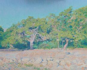Simon Kozhin. The morning. Pines on the coast. 2013. Canvas on cardboard, oil. 40 x 50 cm.