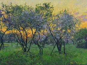 Simon Kozhin. Cherry and apple trees at sunset