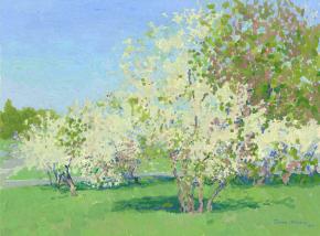 Simon Kozhin. Cherry Orchard in bloom. Kolomenskoye. 2014 Oil on canvas on cardboard, oil. 30 x 40 cm.