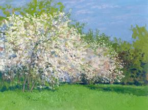 Simon Kozhin. Cherry blossom. Kolomenskoye Estate. 2012. Oil on cardboard. 30 x 40 cm