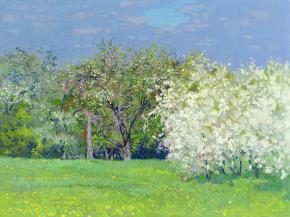 Simon Kozhin. Cherry blossom. Kolomeskoye gardens. 2012. Oil on cardboard. 30 x 40 cm.