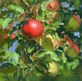 Simon Kozhin. Apples.