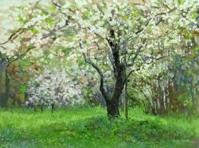 Simon Kozhin. Apple blossom. Kolomnskoye gardens. 2012. Oil on cardboard. 30 x 40 cm.