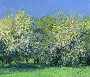 Simon Kozhin. Apple trees in bloom. Dyakovo