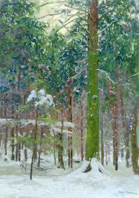 Simon Kozhin. Spruce in the forest. Opalikha.