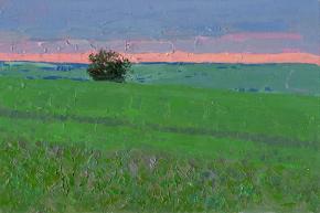 Simon Kozhin. Sunset in a pea field.