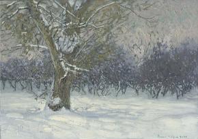 Simon Kozhin. Snow-covered poplar.